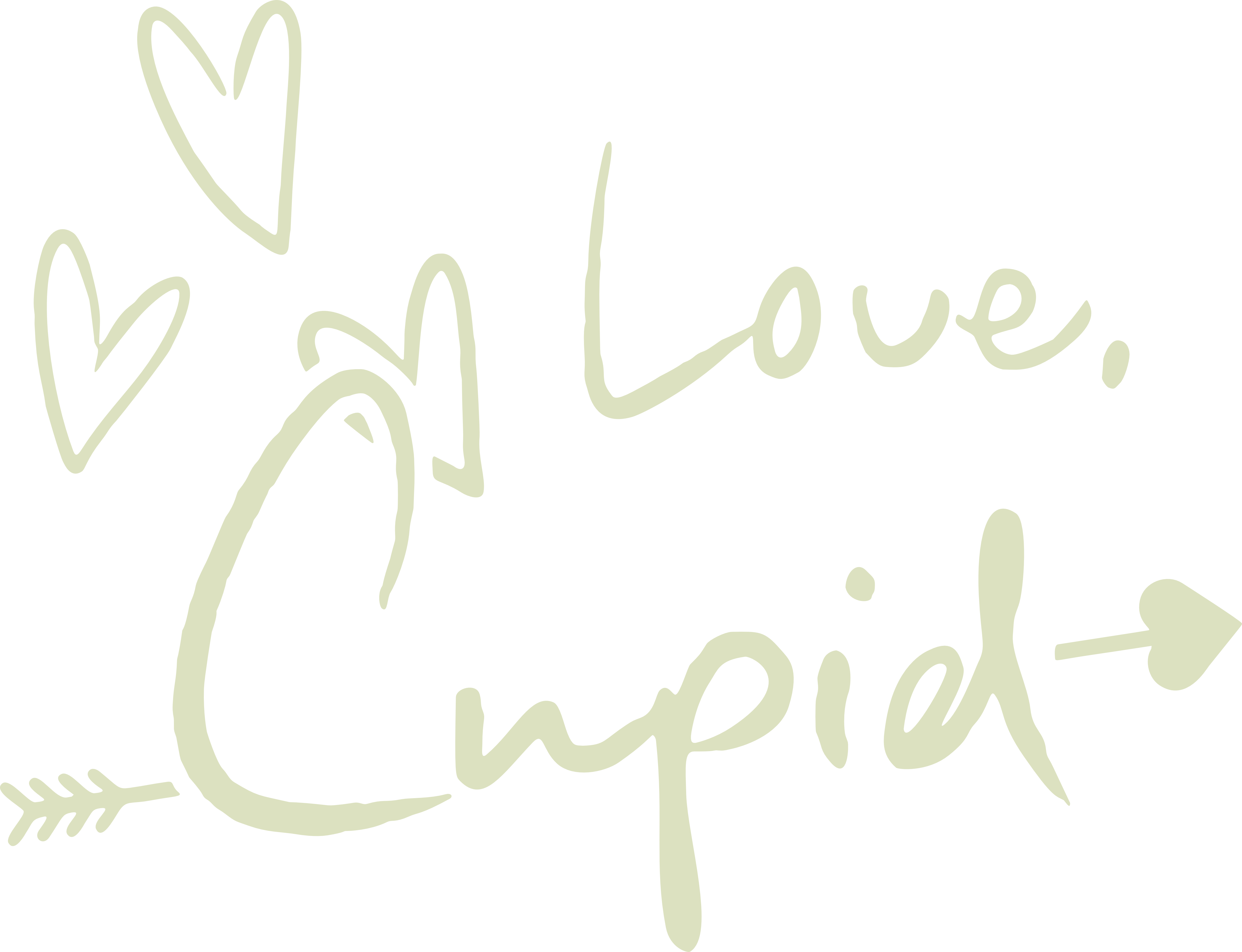 Love Cupid - Branding & Design Client of Desgnmate