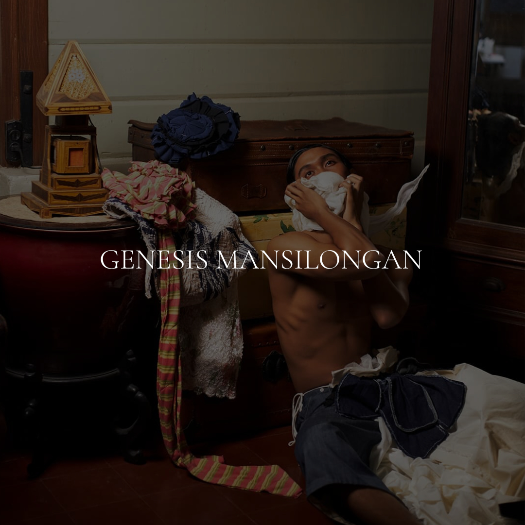 The Stylist Genesis fashion styling website presentation