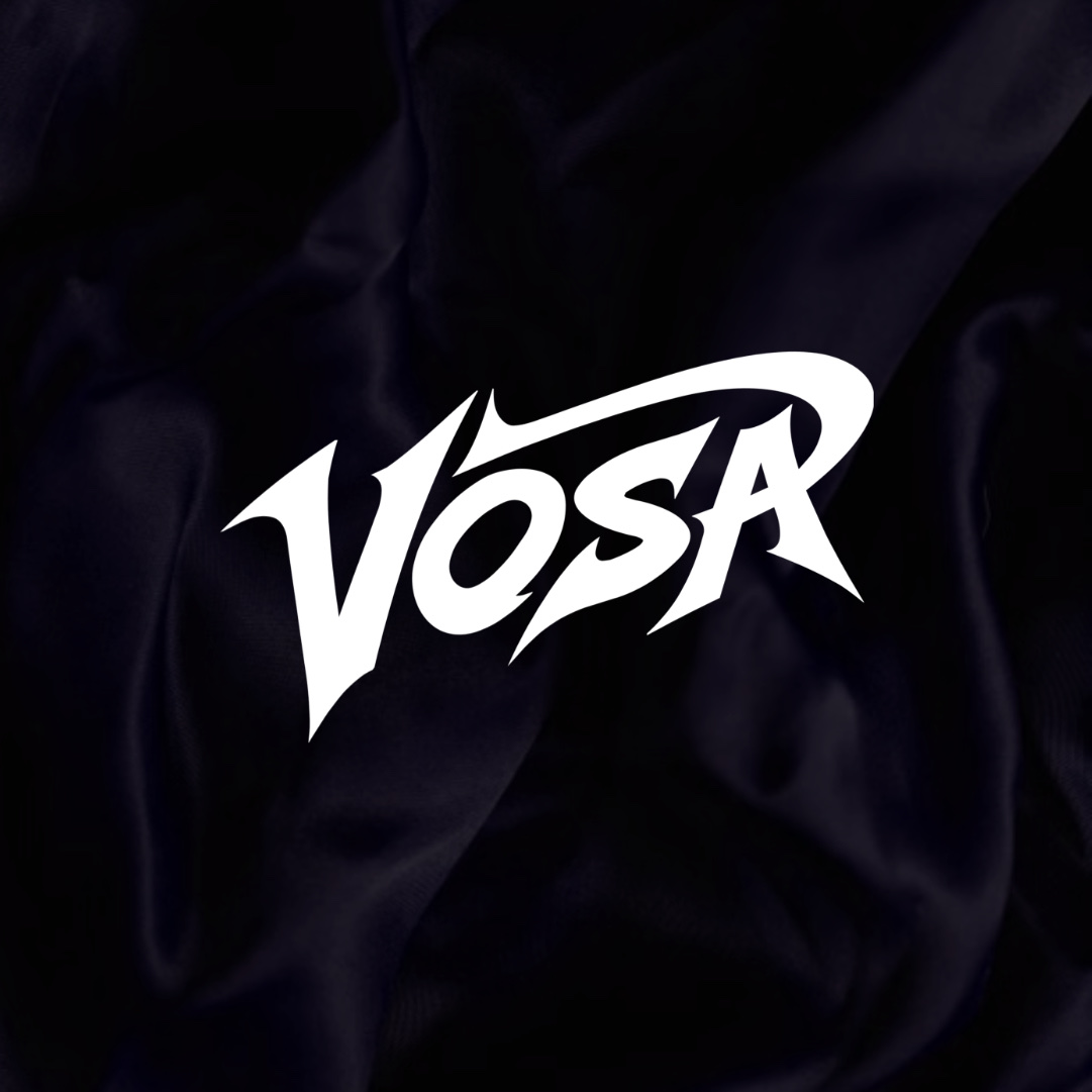 VOSA - Logo Design, Branding Brand & Web Design by Desgnmate